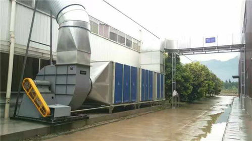 废气处理设备专家 永康世纪兴达，在线咨询助力企业绿色发展